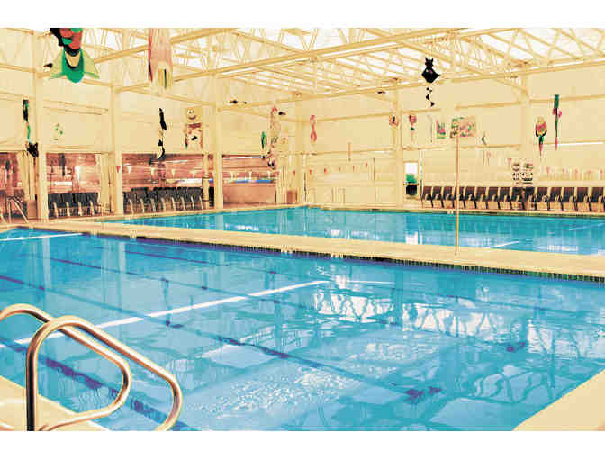 Waterworks Aquatics - 4 Semi-Private Swim Lessons