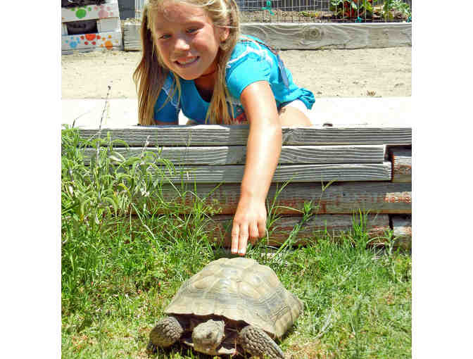 Helen Woodward Animal Center - 1 Week of Summer Critter Camp