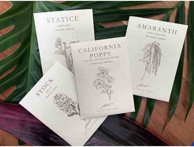 Encanto: Magical Madrigal Basket from Sra. Palacios Kinder