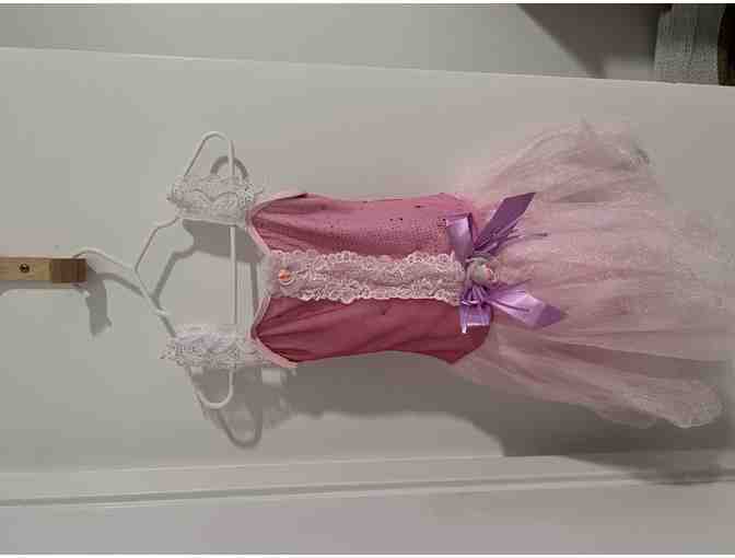 Evolution Dance Tiny Dancer Basket