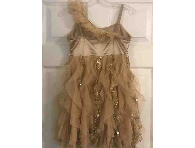 Evolution Dance Center - Recital Costume