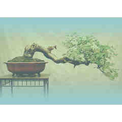 Skin Essentials by Ellen