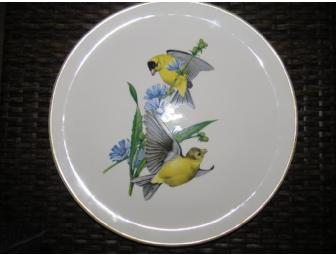 Set of 4 American Song Bird Plates & Biography of Athos Menaboni by Barbara Taylor