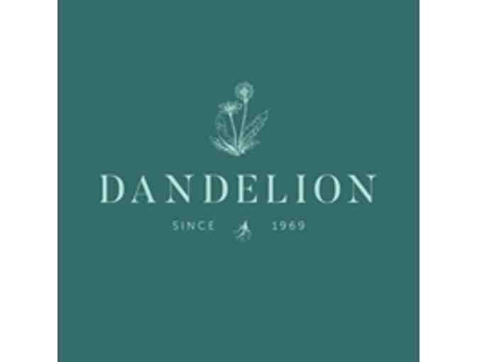 Dandelion Gold fill Vertical Bar with Garnet Necklace/Earrings