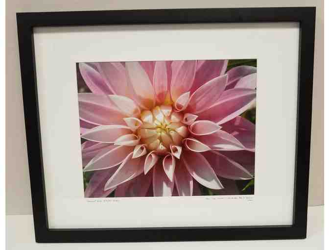 Garden Gift Set and Framed Flower Photograph