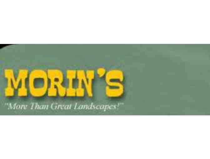Morin's Landscaping, Inc. - $50 Gift Certificate