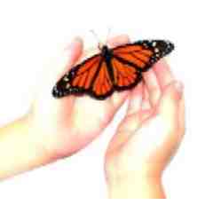 Transformations Face & Body Spa