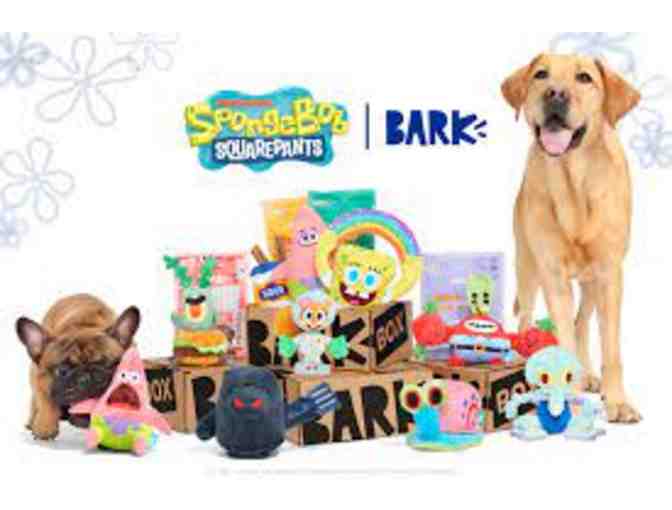 Bark Box Super Chewer Box! - Photo 1