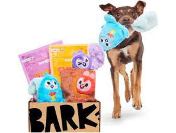 Bark Box Super Chewer Box! - Photo 2