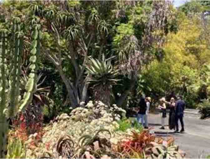 San Diego Botanic Garden Guest Tickets for FOUR! - Photo 4