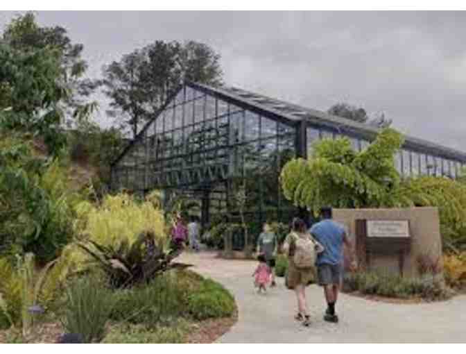 San Diego Botanic Garden Guest Tickets for FOUR! - Photo 6