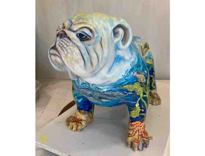 Pelagie the Pelagic Pup