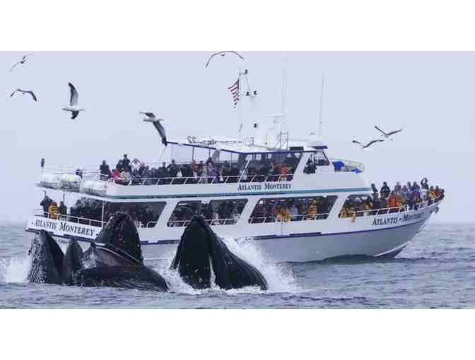 Monterey Whale Watching Trip for Two