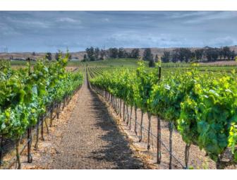 Sangiacomo Family Vineyards - Mid-summer Day's Super Soiree - For 1 Couple