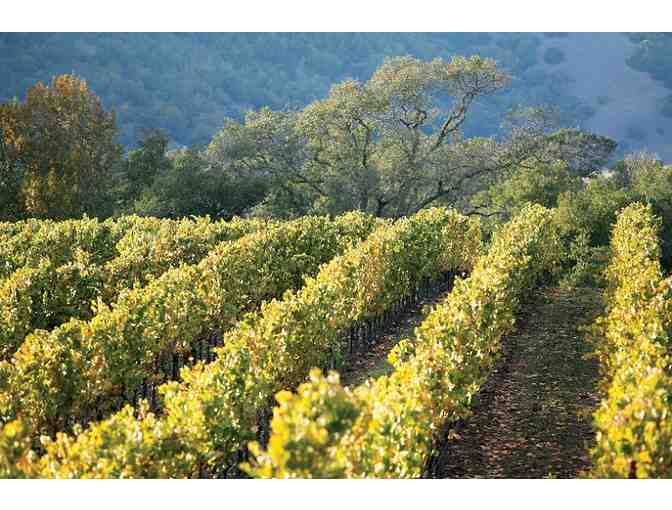 Napa, California for Four Days & Three Nights