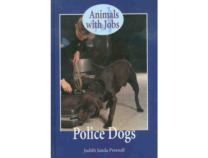 Children's Reading/Fun