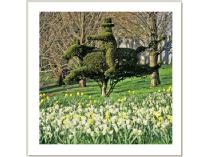 Tour the Ladew Topiary Gardens