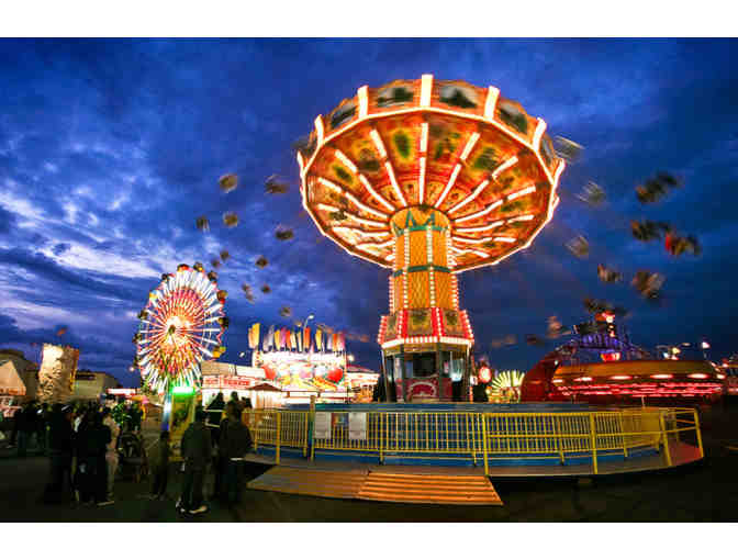 A Day at the Horse Races