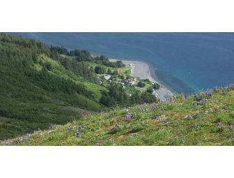 Alaskan Adventure for One Adventurous Person!