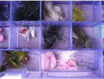 Fabulous Purple Fly Box