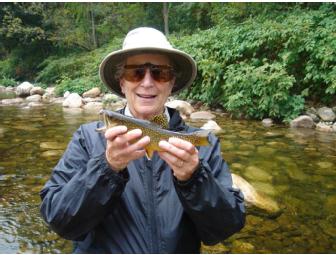 Day on the Battenkill, Guided Fly Fishing