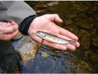 Day on the Battenkill, Guided Fly Fishing