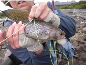 Denali Highway Grayling Safari with Pudge Kleinkauf
