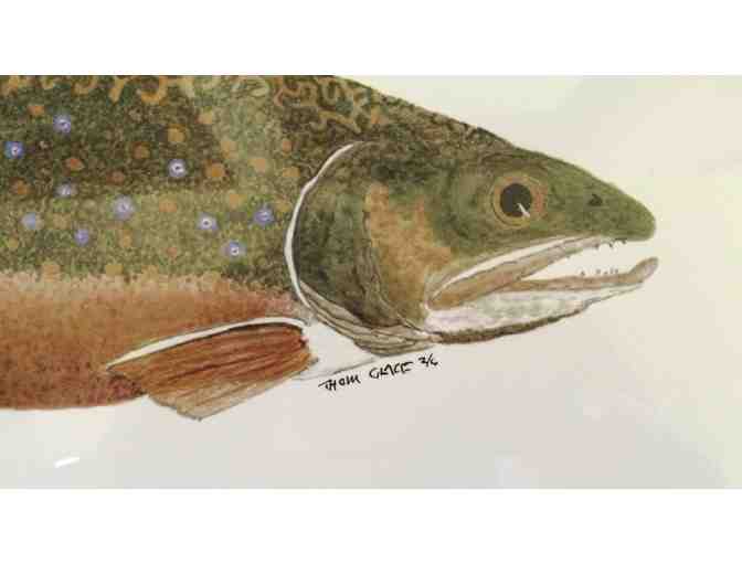 'Brook Trout' Signed and Numbered print by Thom Glace