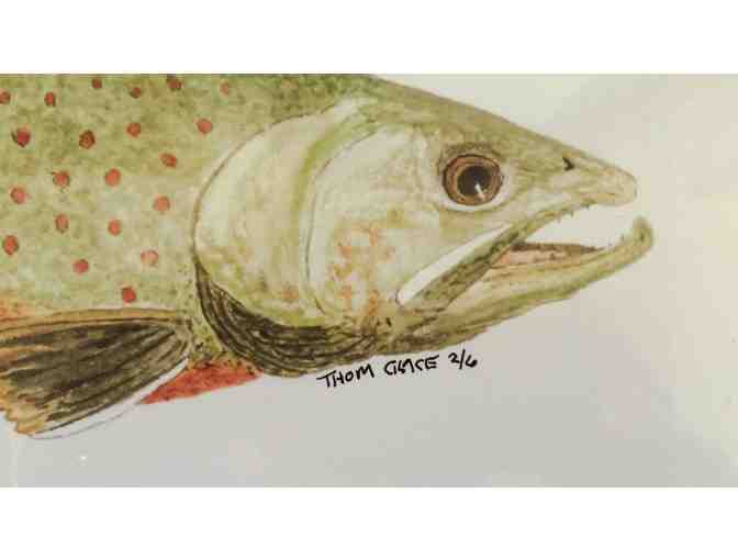 Thom Glace Signed and Numbered Print of Dolly Varden Trout