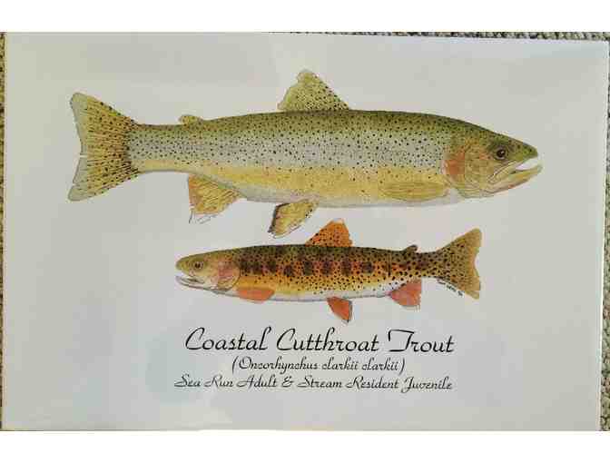 Thom Glace Signed and Numbered Print of Adult & Juvenile Coastal Cutthroat Trout