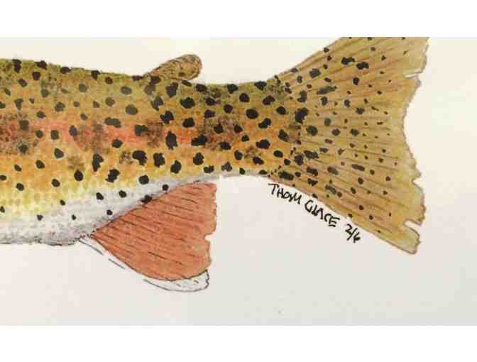 Thom Glace Signed and Numbered Print of Adult & Juvenile Coastal Cutthroat Trout