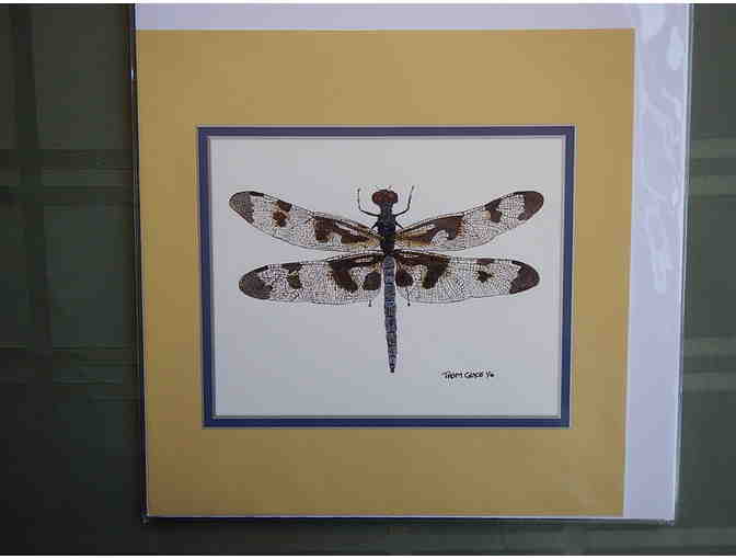 Dragonfly Print by Thom Glace
