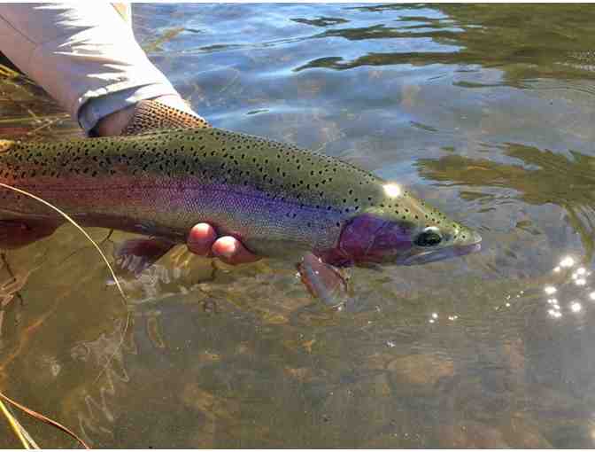 One Day Guided Fly Fishing Trip for Two in Northern California