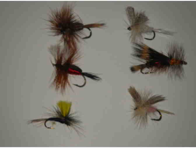 Dry Fly Assortment! (#2)