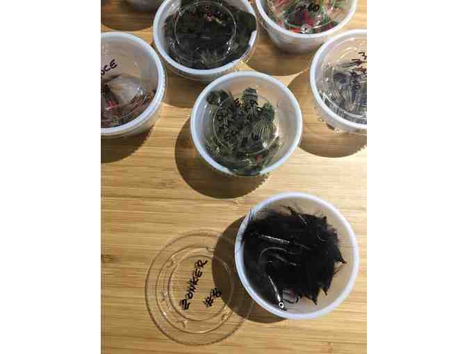 Leeches, Minnows, Sculpin and More!