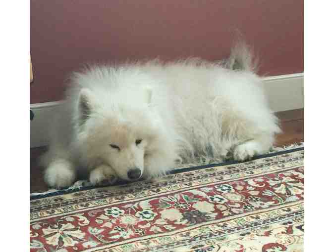 2018 Fall Foliage Weekend in Manchester, Vermont