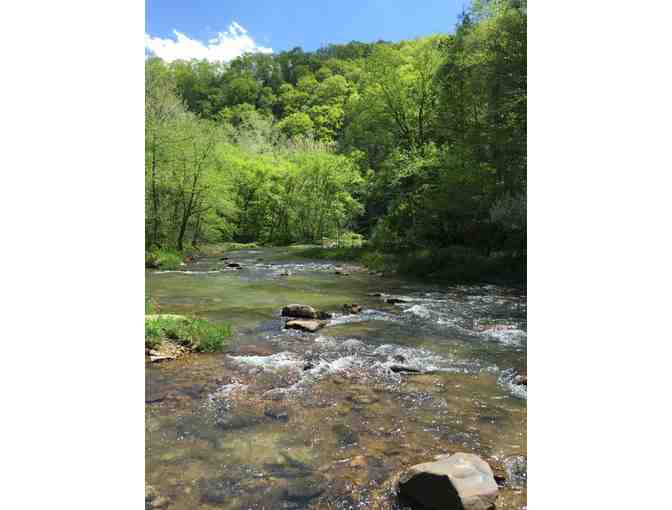 Knapps Creek Trout Lodge One night Stay and 1/2 day Guided Fly Fishing