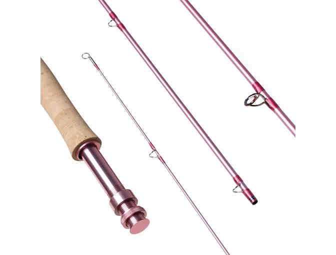 FLY ROD: Sage Grace Rod, Reel and Line