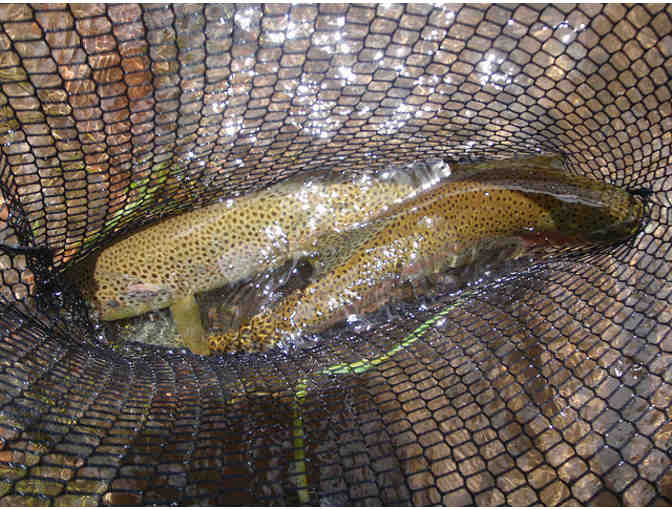 Full Day Guided Float Trip for Two with The Colorado Angler