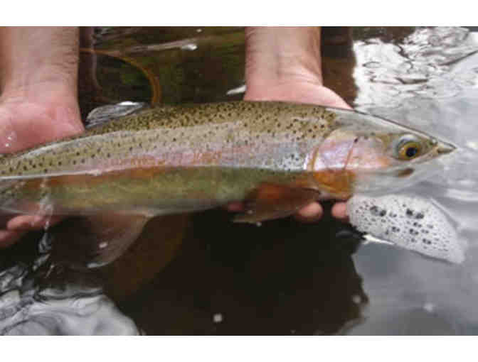 Full Day Guided Float Trip for Two with The Colorado Angler