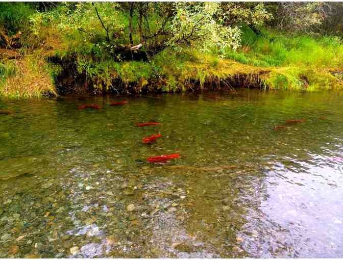 Southwestern Alaska Adventure Trip for One -- 6 days, 7 nights - July 2019