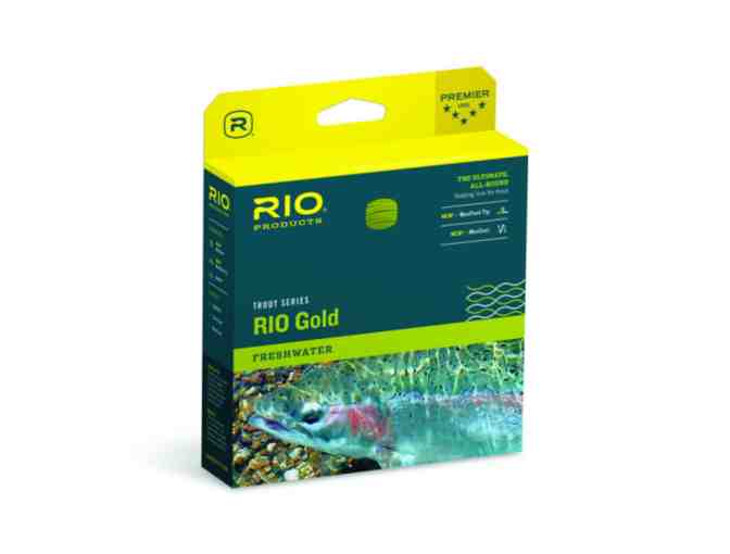 Sage 2250 Reel + Rio Gold WF5F Line