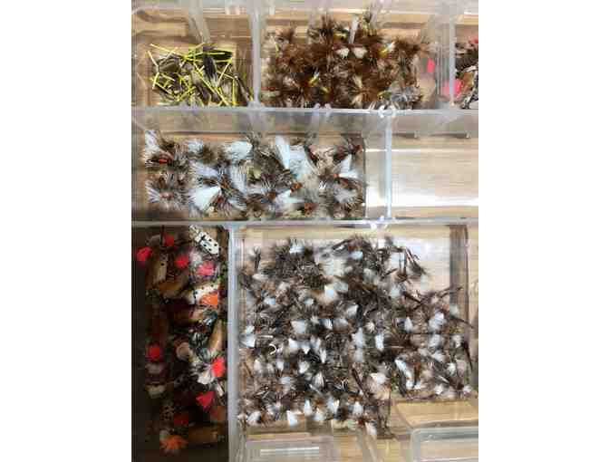 Dry Fly Extravaganza!