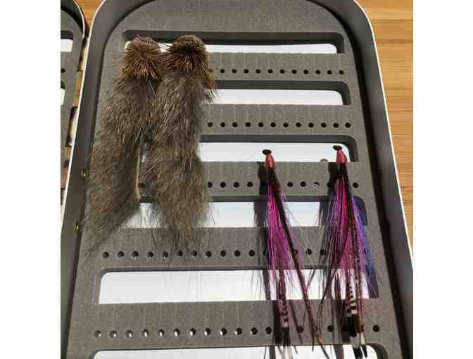 Sub-Surface Collection of Flies - 20 Flies