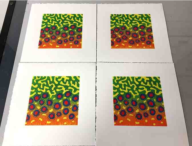 'Beautiful Brook Trout' by Wandering Blue Lines