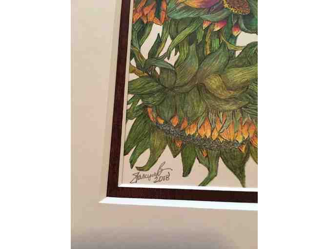 Sunflowers Drawing by a CfR Participant