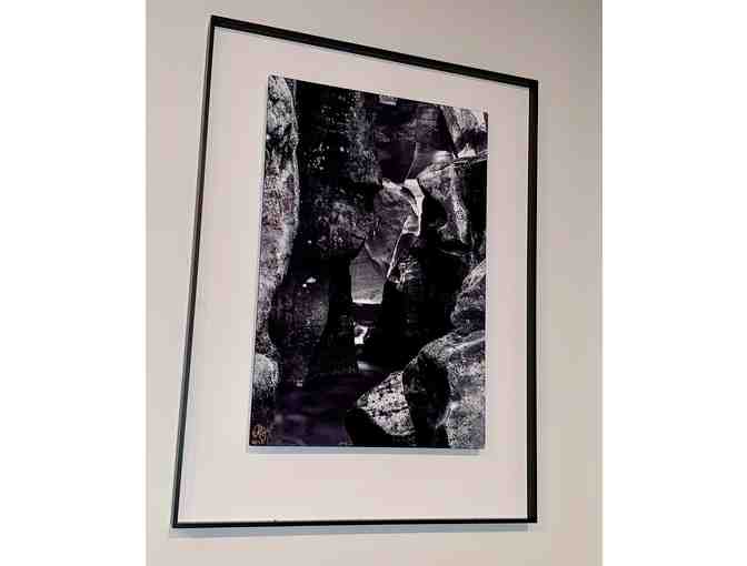 New Opening Bid! Photograph of Avalanche Creek in Glacier National Park by Lee Jester