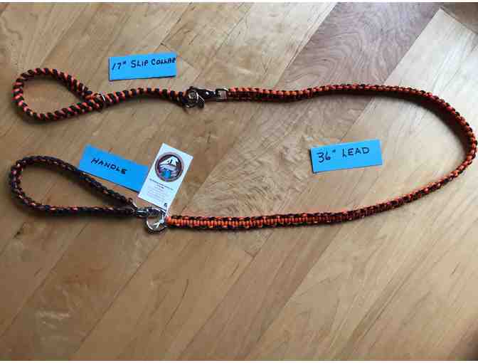 Heavy Duty Hiking Dog Lead with One Collar