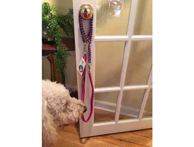 Heavy Duty Hiking Dog Lead with 2 Collars