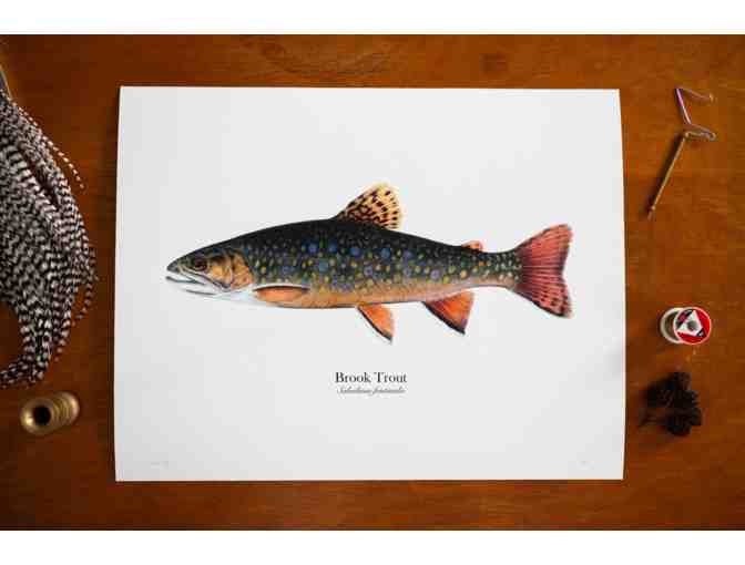 Brook Trout Fine Art Print by Tight Loops - Photo 1